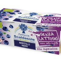 Yogurt Magro Senza Lattosio al Mirtillo